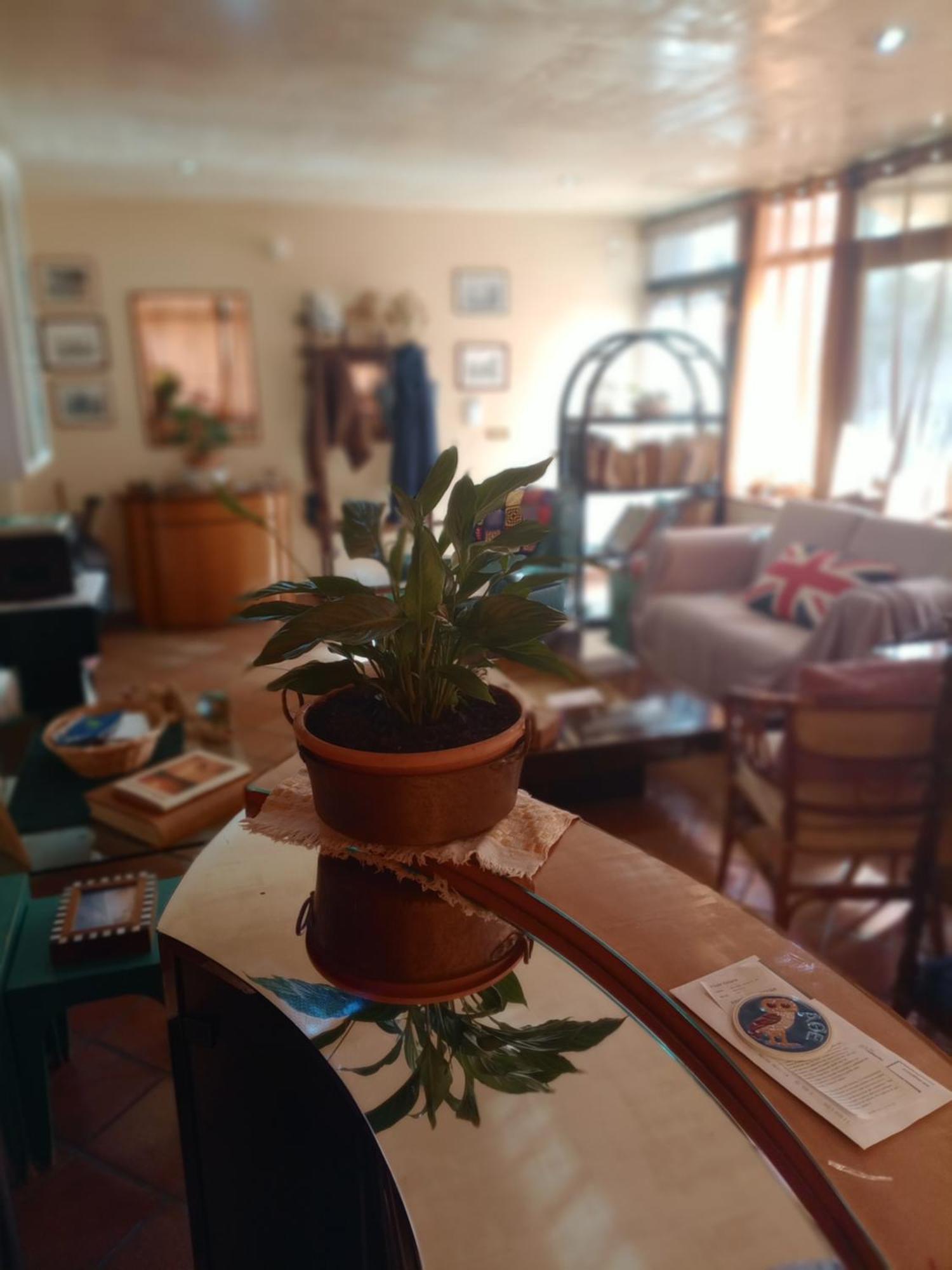 Casa Di Luca Bed & Breakfast Агридженто Екстериор снимка